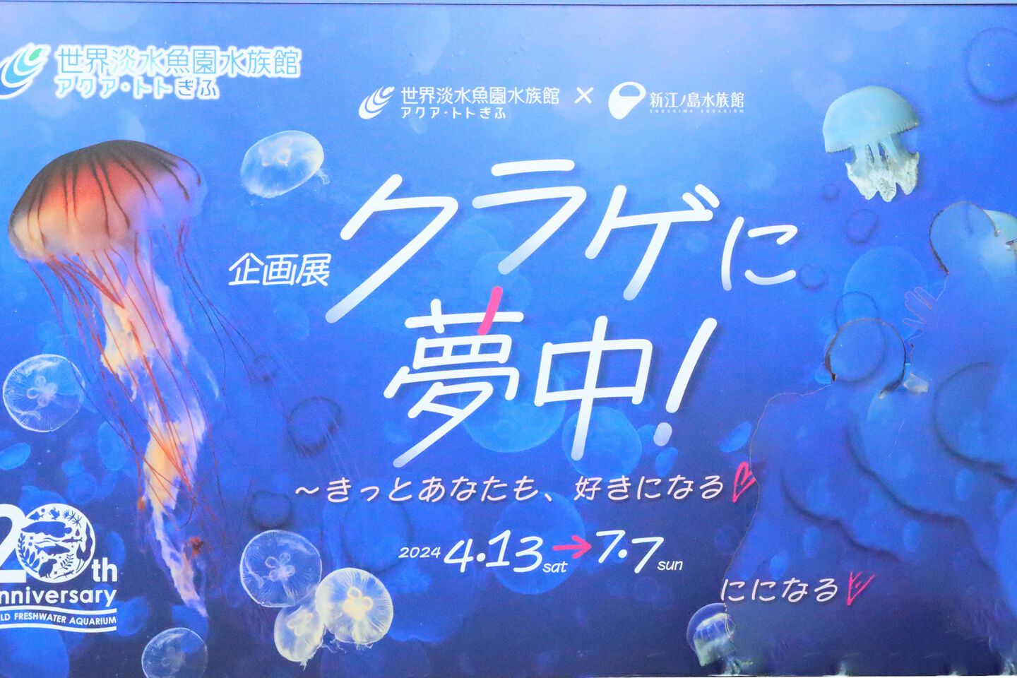 アクアトト岐阜